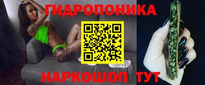 гашик Краснознаменск