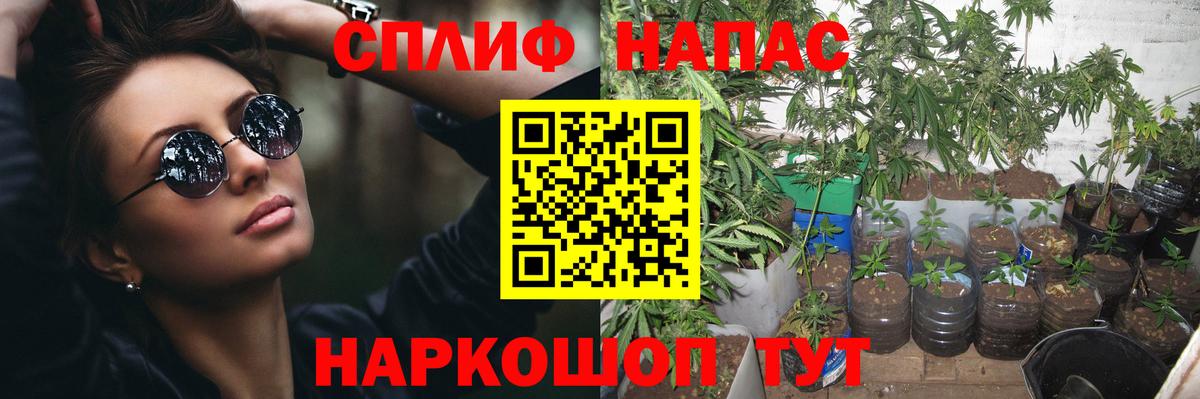 Шишки марихуана гибрид Ивантеевка